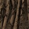Brown-Black Famous Maker Reptile Poly Stretch Jacquard Yoga Knit Fabric By the Yard